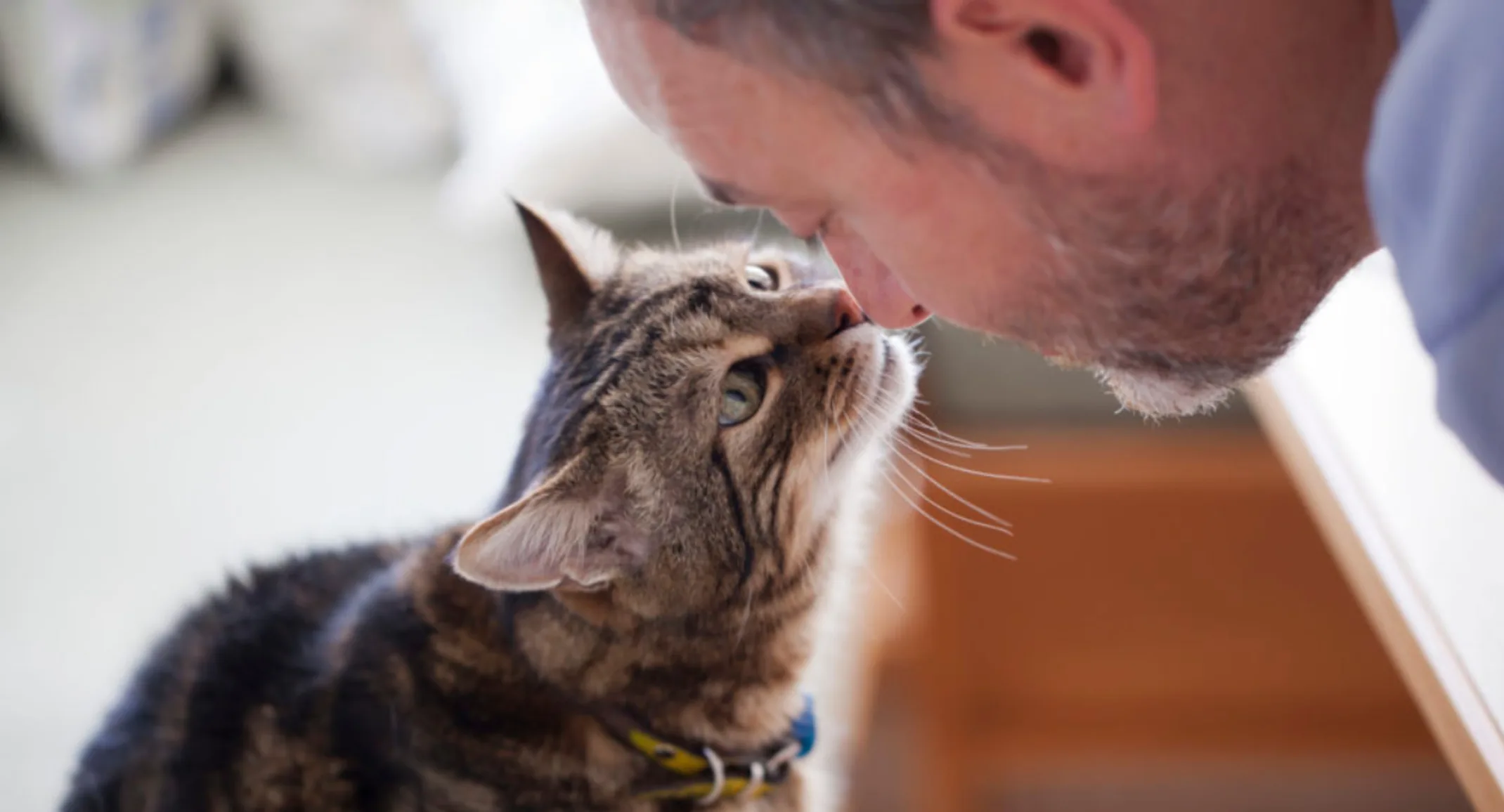 Man touching noses with a cat